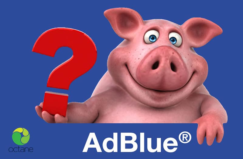 adblue-pig-blog