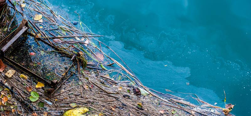 water polluted by a fuel leak 