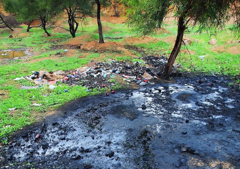 oil-pollution-grass